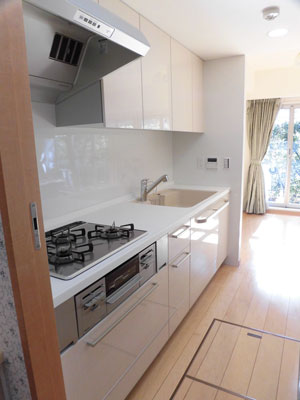 扉がキレイなキッチン　トクラスBerryにお取替え